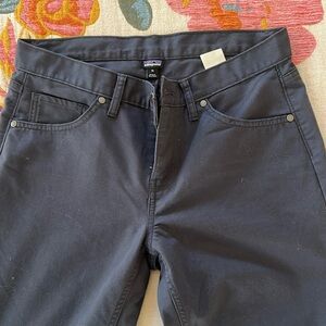 Brand new Patagonia pants without tags. Dog friendly home.